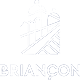 BrianconDemo logo